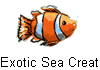 Exotic Sea Creatures